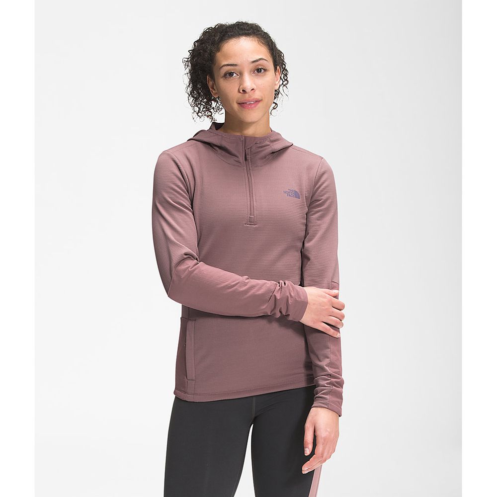 The North Face Hooded Jacket Womens Australia - The North Face Wayroute Pullover Light Purple (NJF-7